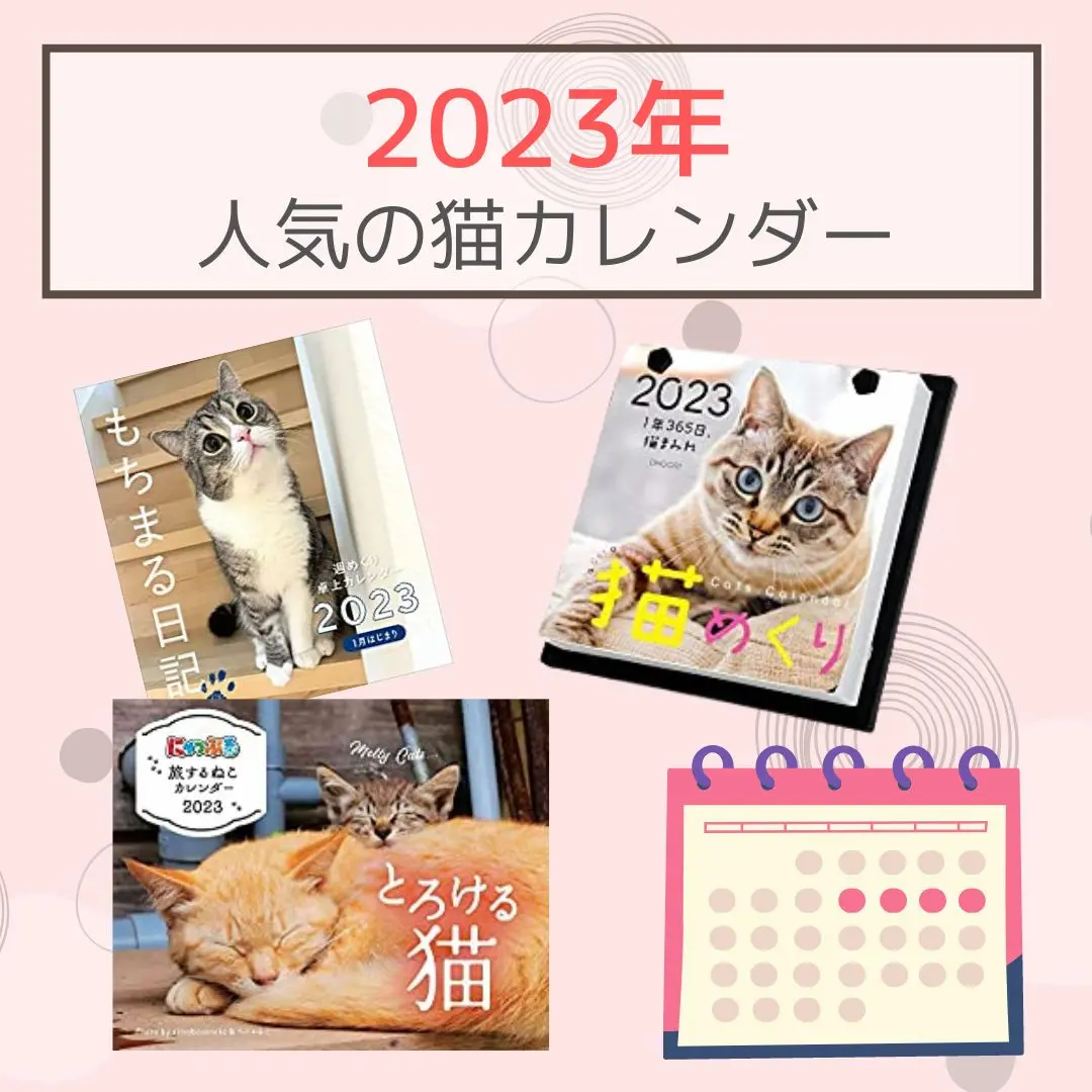 2023年おすすめの猫カレンダー】猫好きさんは要チェックの可愛いくて