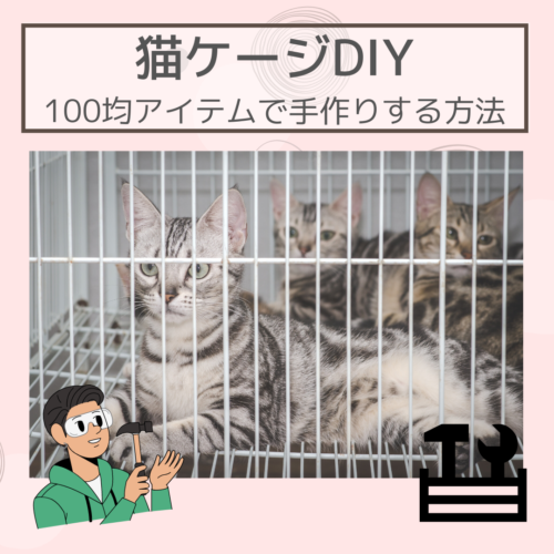 【失敗しない】猫ケージの選び方！おすすめの猫ケージもご紹介